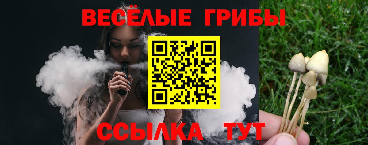 Галлюциногенные грибы Cubensis  Вход с VPN  Псилоцибиновые грибы MAGIC MUSHROOMS  Малгобек 