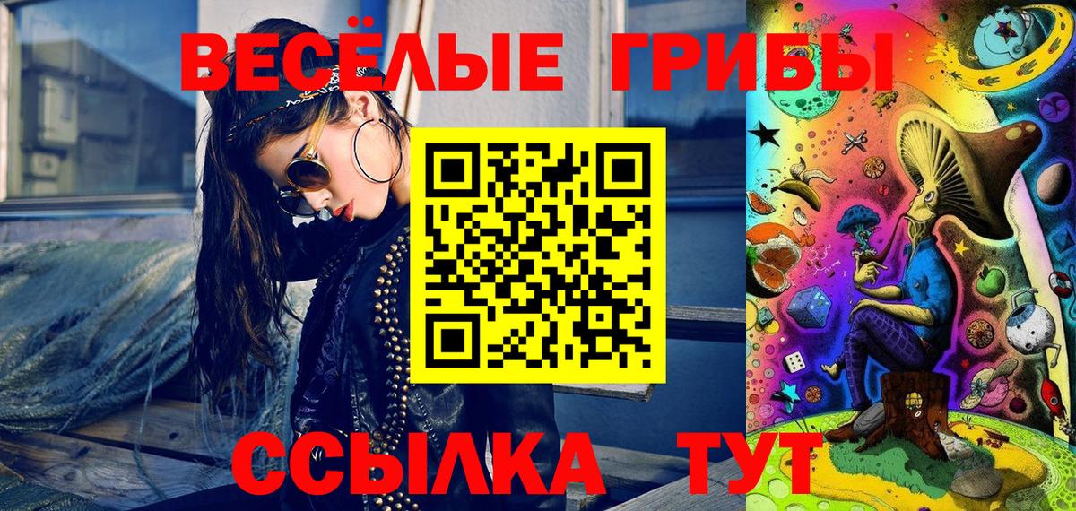 Псилоцибиновые грибы Psilocybe Малгобек